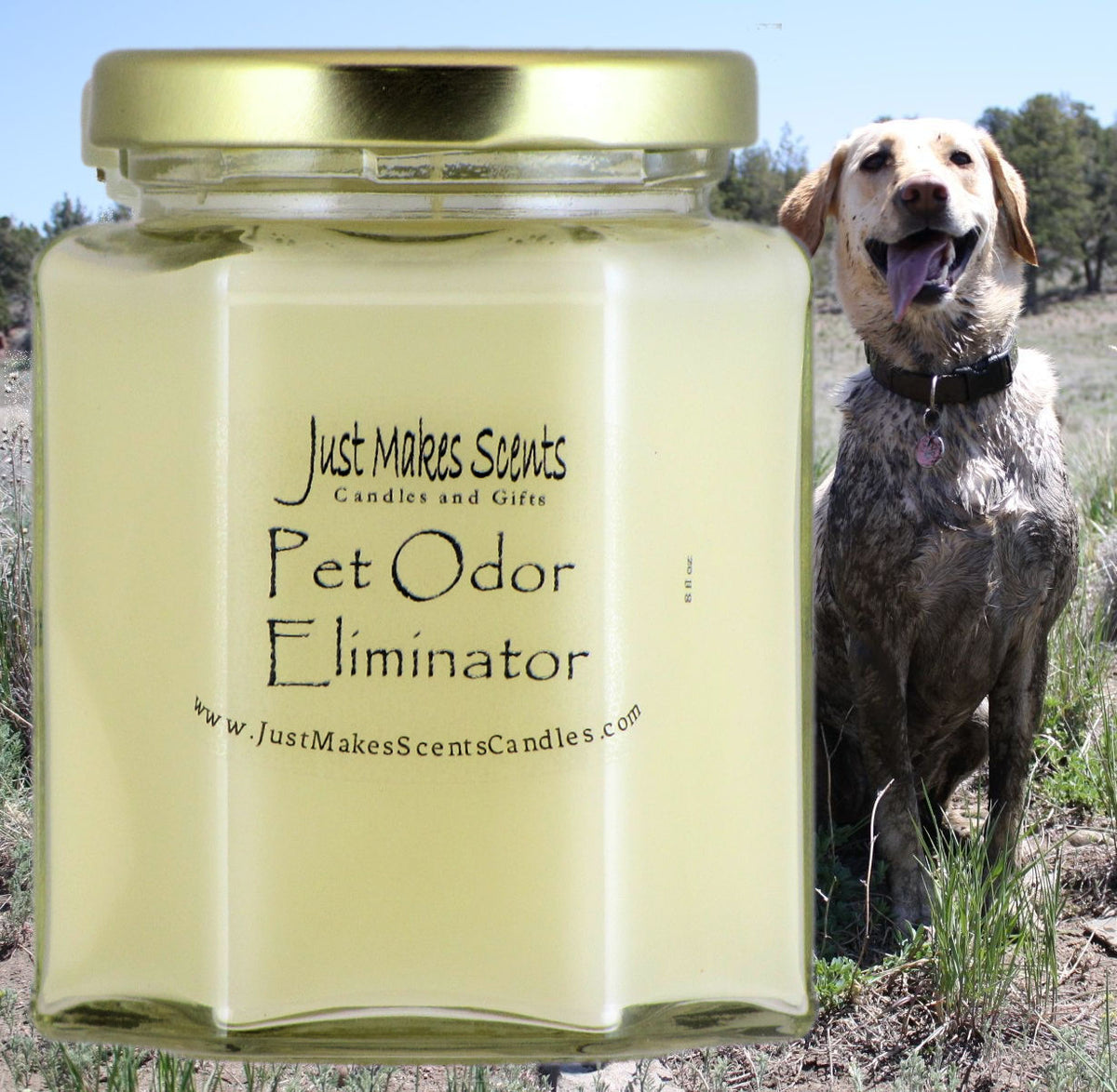 Pet odour candle discount