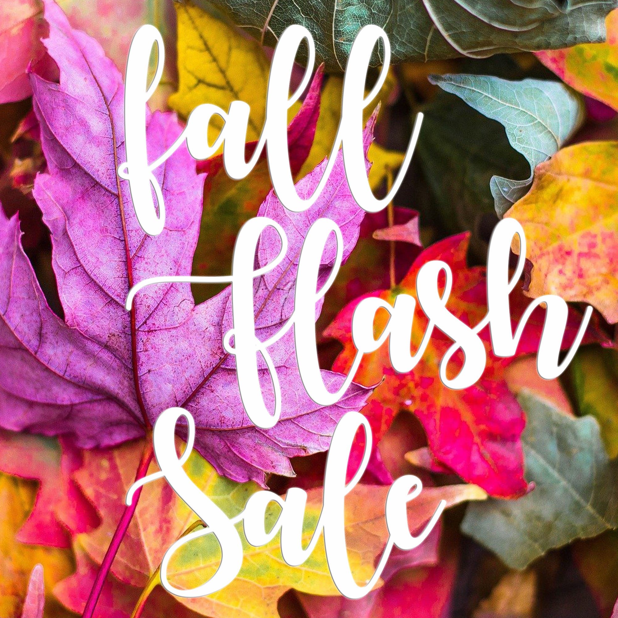 Fall Flash Sale