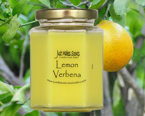 Lemon Verbena Scented Candle