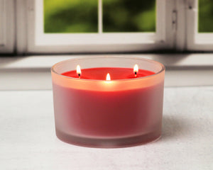 3 Wick - Apple Cinnamon Scented Candle  (17 oz)