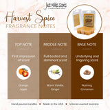 Harvest Spice Scented Wax Melts