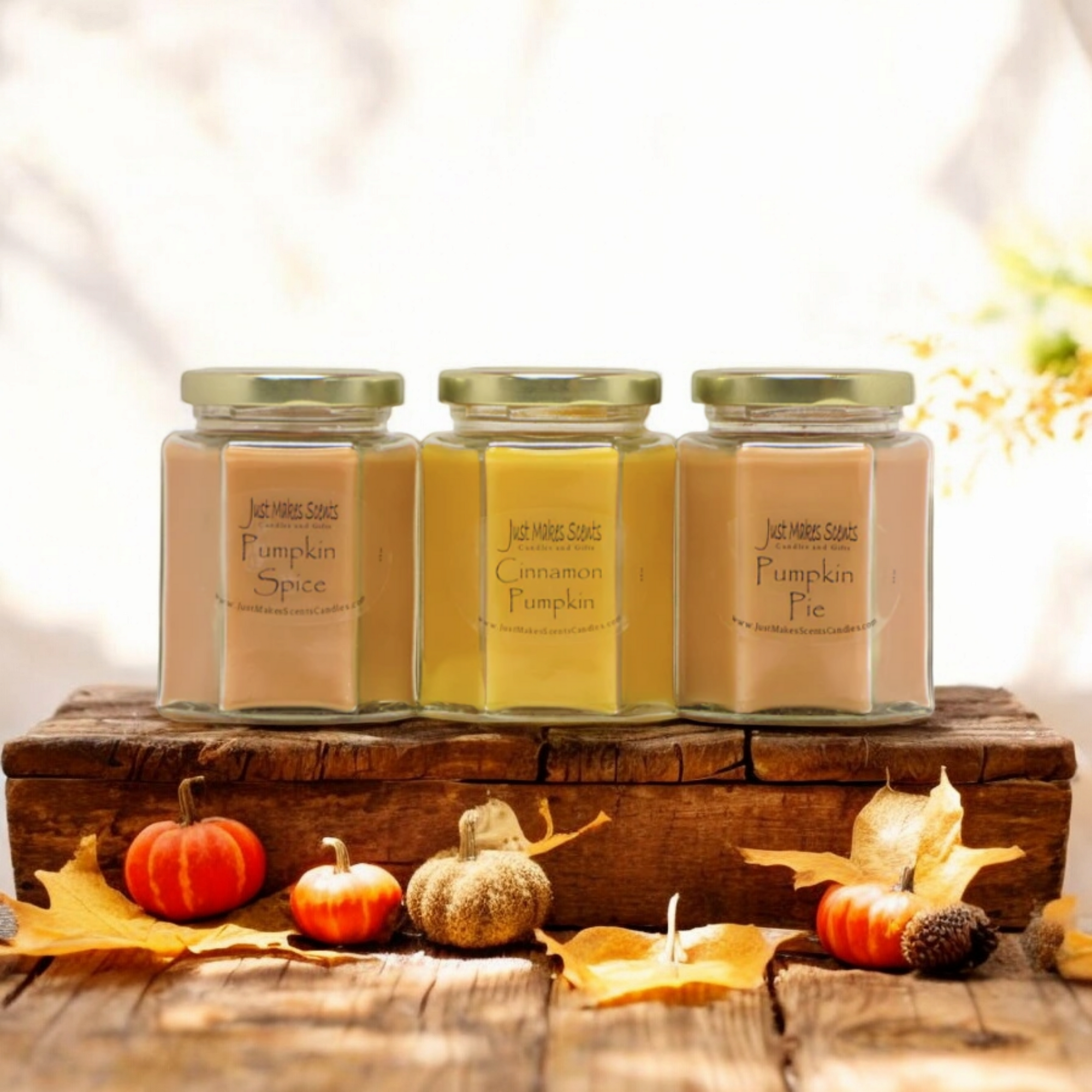 Fall Pumpkin Variety Pack (Pumpkin Pie, Pumpkin Spice, Cinnamon Pumpkin)