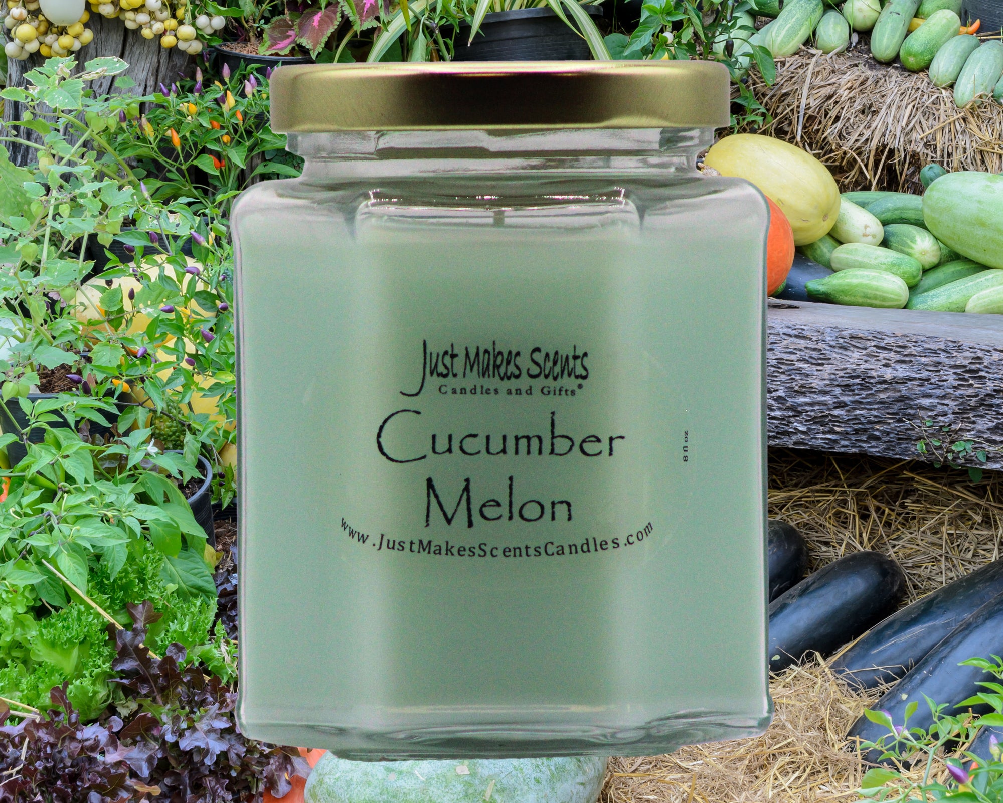 Cucumber Melon Scented Candles - 8 oz