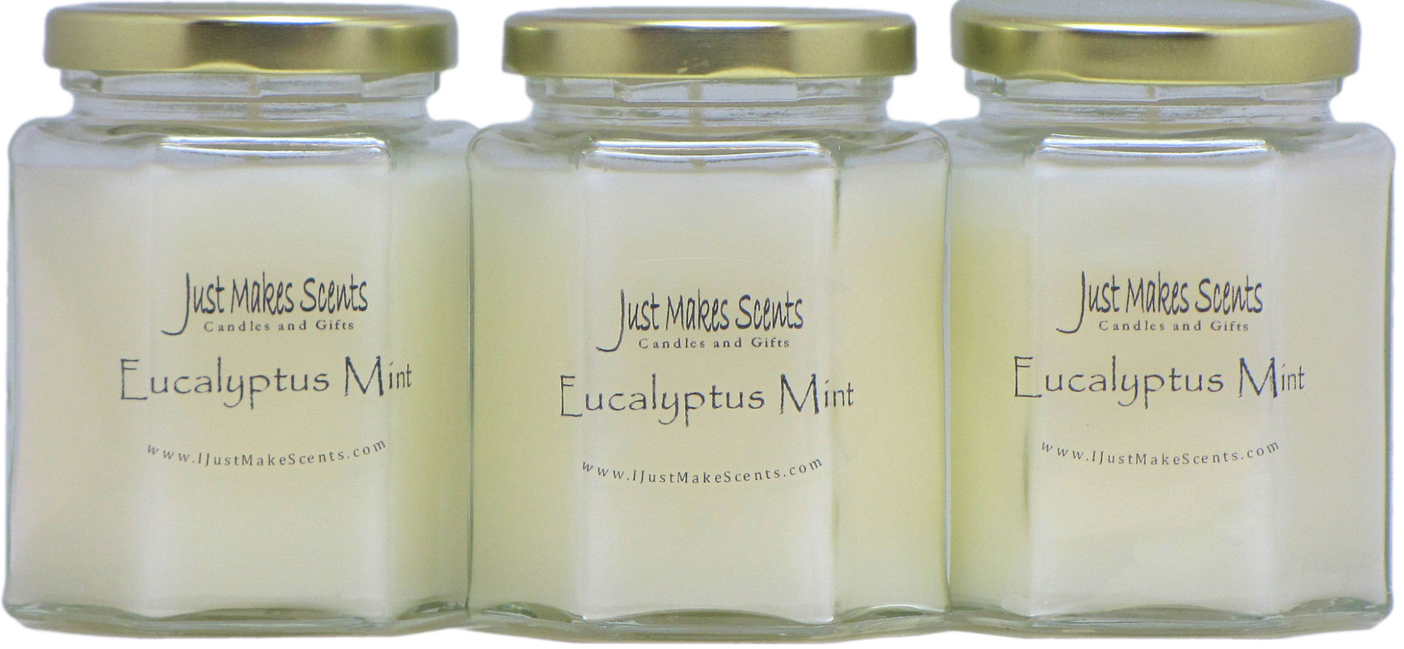 Eucalyptus Mint Scented Candle