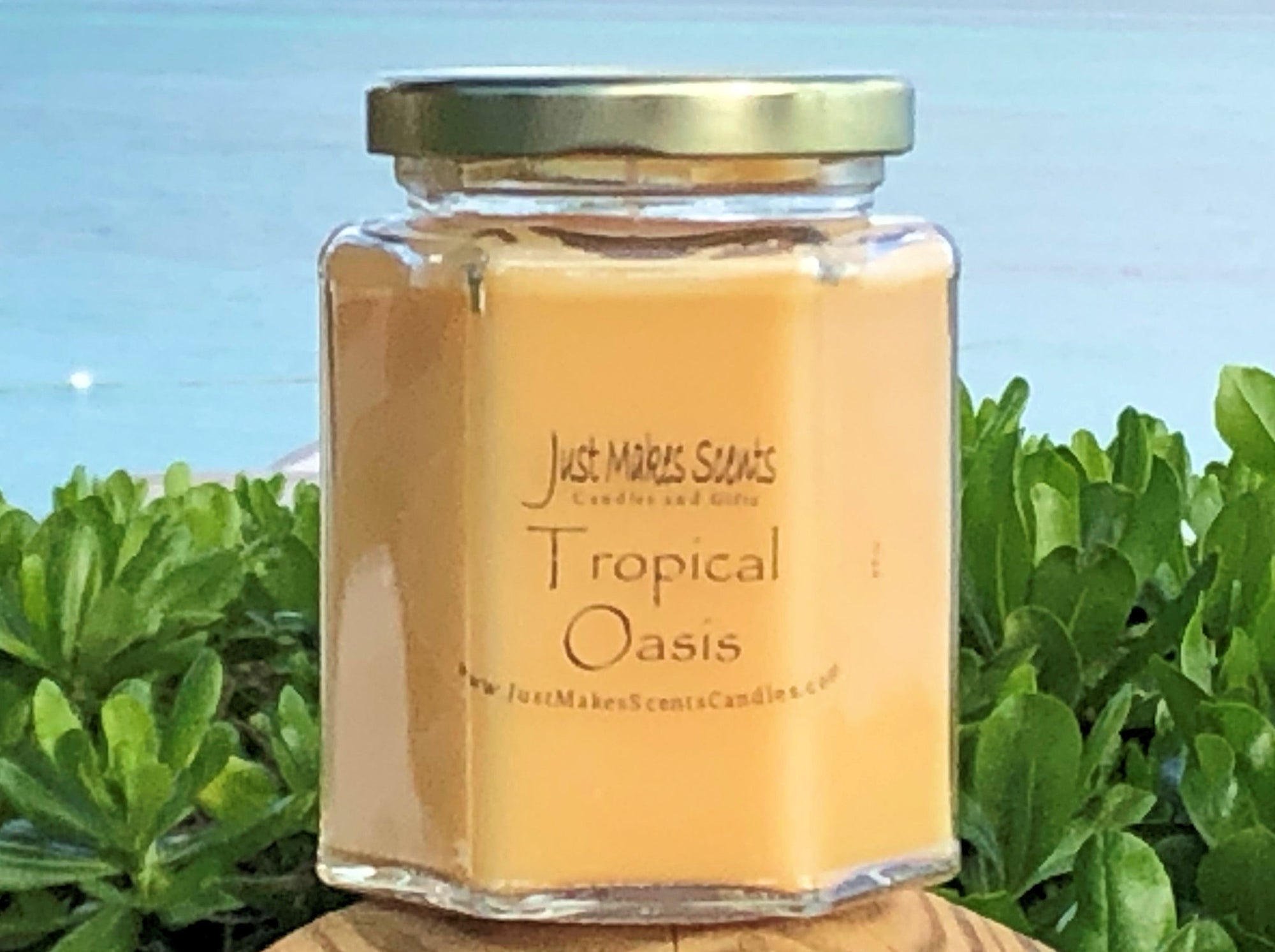 Tropical Oasis Tropical Fruit Scented Candle