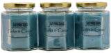 Turks & Caicos Tropical Fruit Scented Candle