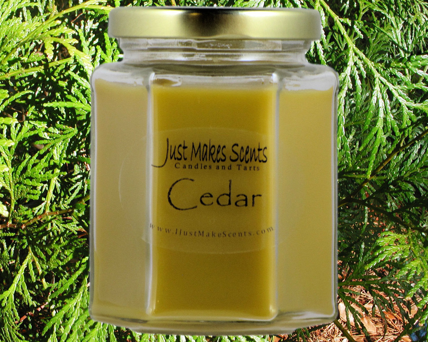 Cedar Scented Candle