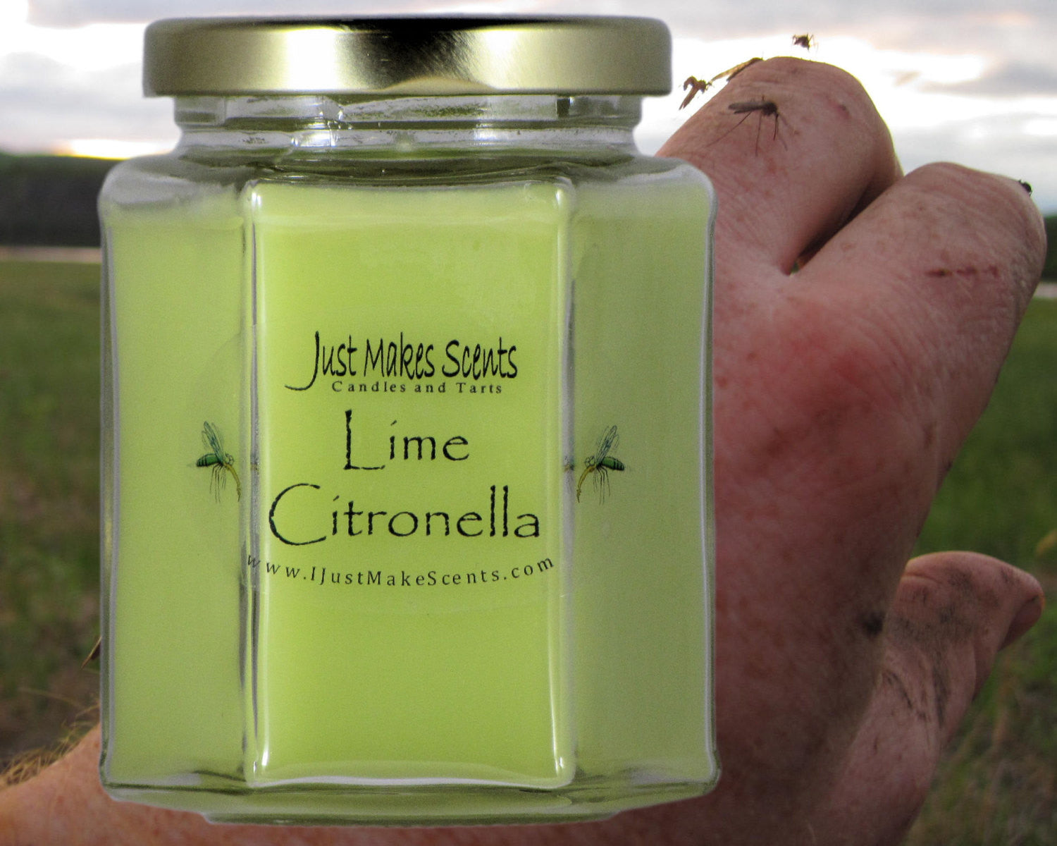 Lime Citronella Indoors Candle