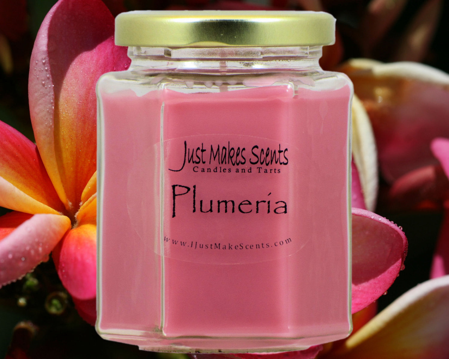 Plumeria Scented Candles