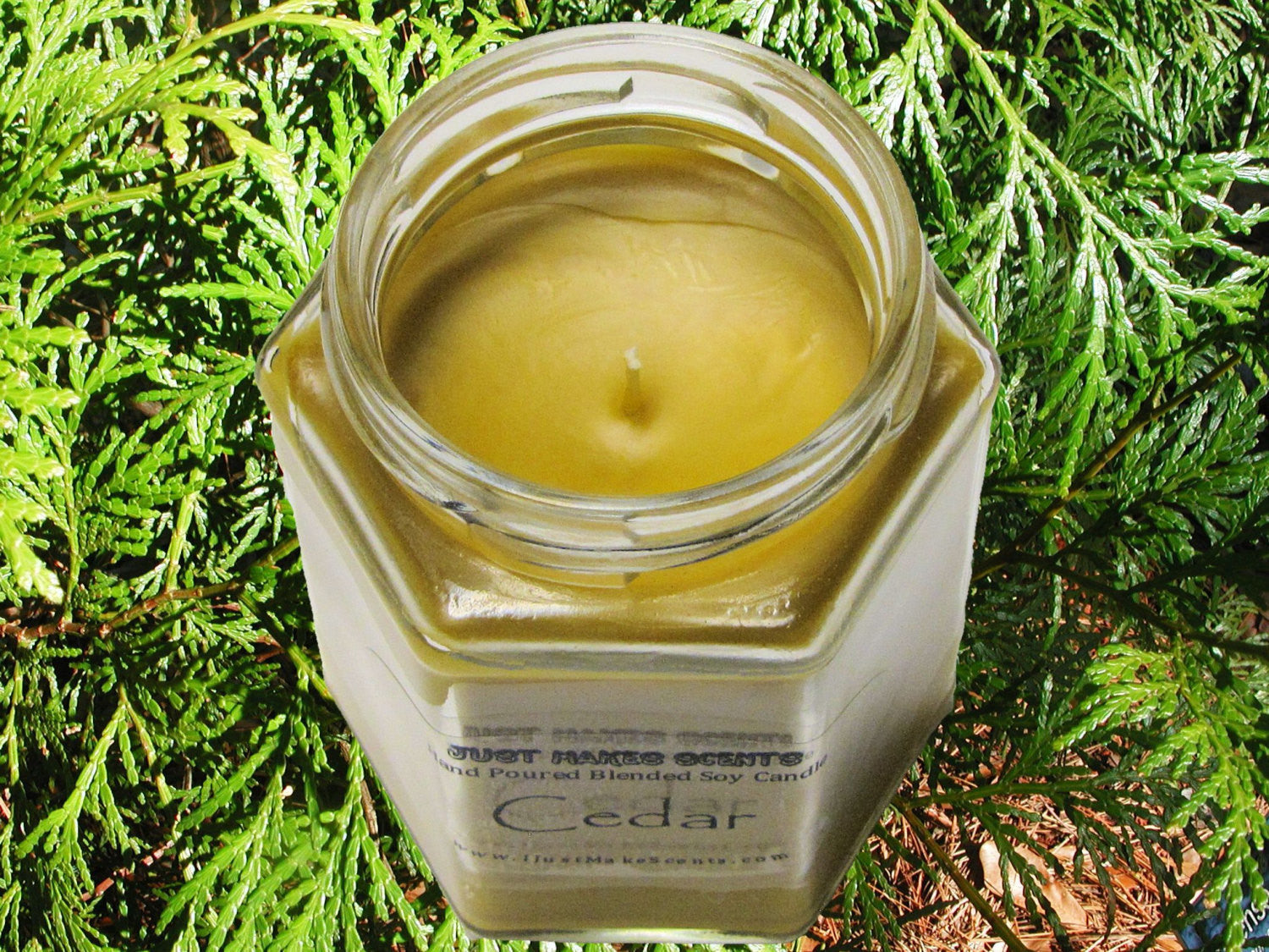 Cedar Scented Candle